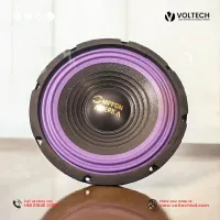 Nippon America 8-Inch Subwoofer and Speaker 500W – High-Performance Audio at Voltech Electronics
