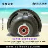 Pioneer TS-W309D4 12" 1400W Dual 4Ω Subwoofer – Champion Series | Voltech Electronics Pioneer TS-W309D4 12" 1400W Dual 4Ω Subwoofer – Champion Series | Voltech Electronics